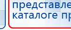 СКЭНАР-1-НТ (исполнение 01 VO) Скэнар Мастер купить в Якутске, Аппараты Скэнар купить в Якутске, Скэнар официальный сайт - denasvertebra.ru